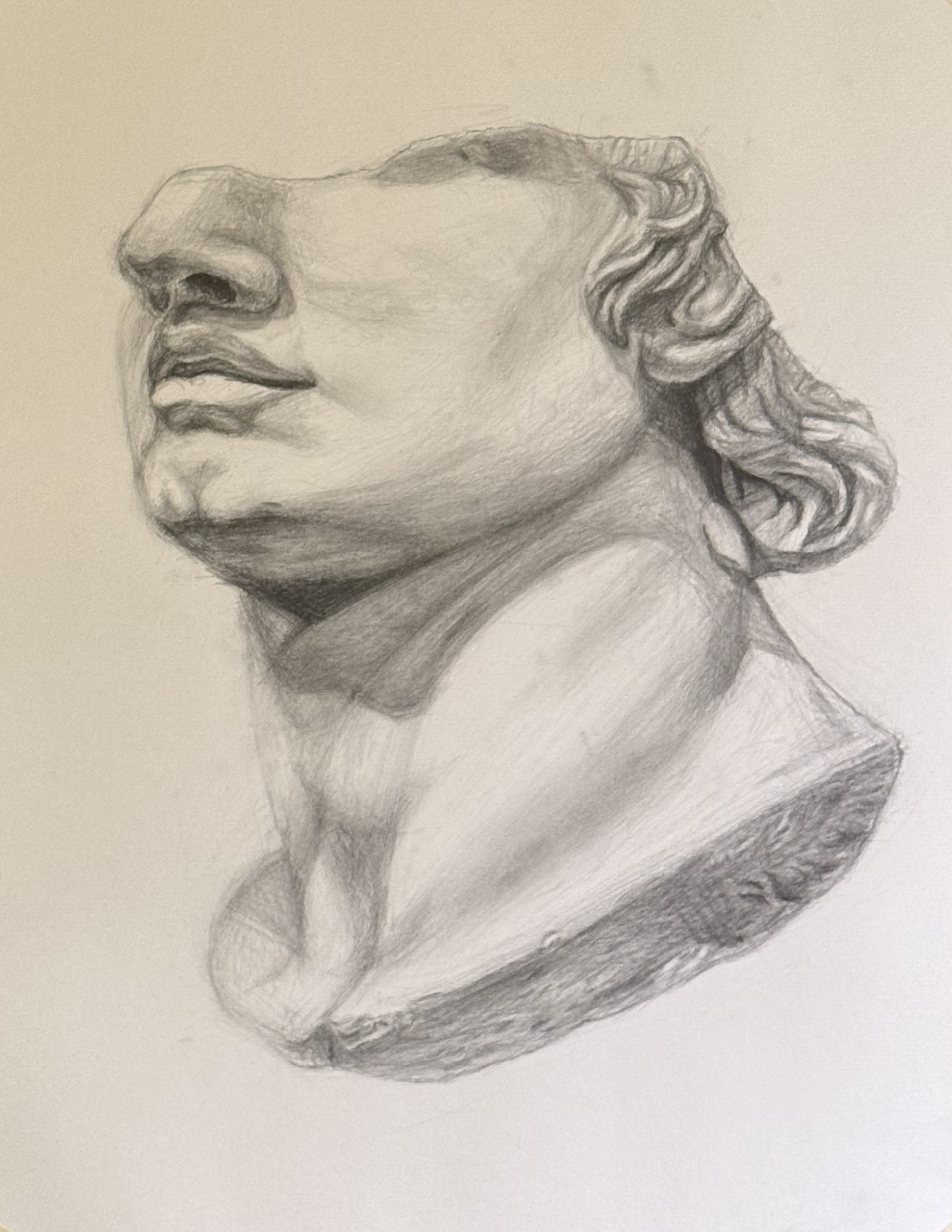 Pencil Drawing